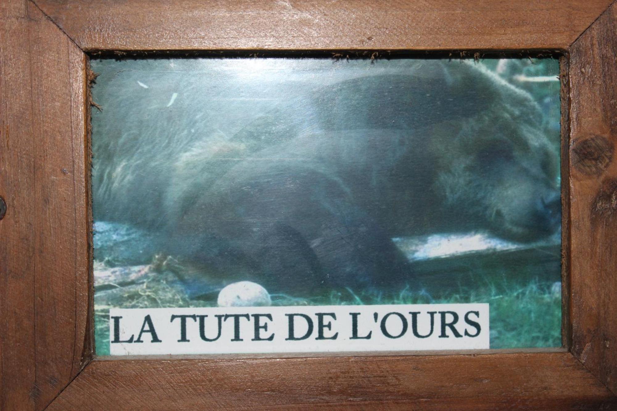 Maison De Charme Calme Entouree De Montagne Ussat Bagian luar foto